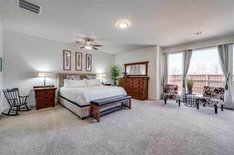 13875 Alden Lane, Frisco, TX 75035