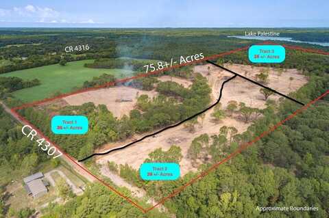 Tract 3 - Tbd County Road 4307, Larue, TX 75770
