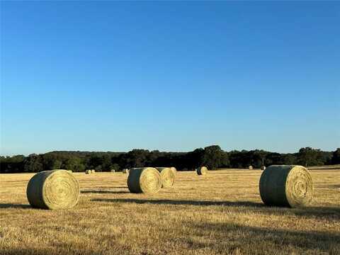600 Wilson Bend Road, Millsap, TX 76066