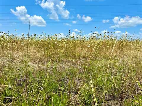 Lot 8 CR-590, Nevada, TX 75173