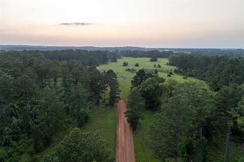 00 County Road 173, Overton, TX 75684