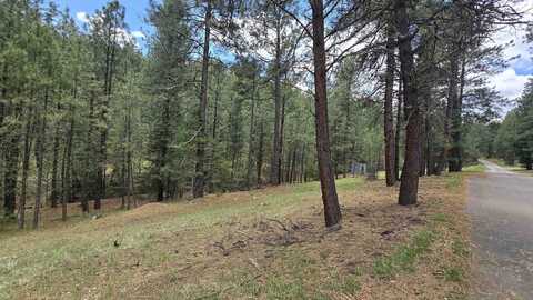 00 Cowan Rd, Mayhill, NM 88339