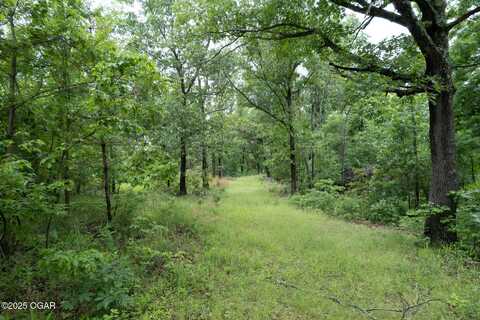 19.5 Neil Robinson Road, Anderson, MO 64831