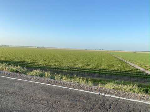 52415-52979 S. River Road, Clarksburg, CA 95612