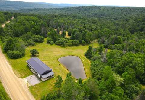 5461 Morgan Hill Rd, Scio, NY 14880