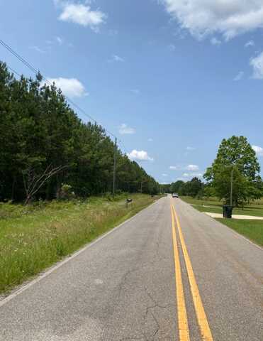 0 Highway 61, Columbiana, AL 35051
