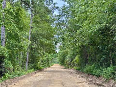 0 Smith Rd., Eastman, GA 31023
