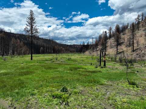 TL 400 Forest Service Rd 3745, Burns, OR 97720