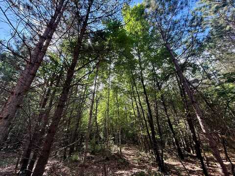 Lot 3 810th Street, Sand Creek, WI 54765