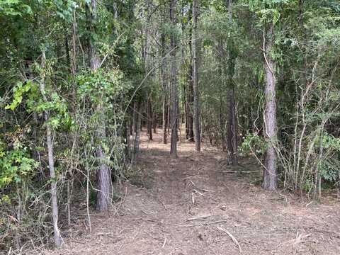 0 County Road 101, Bremen, AL 35053