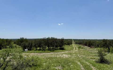 1081 Whitetail Trail, Eldorado, TX 76936
