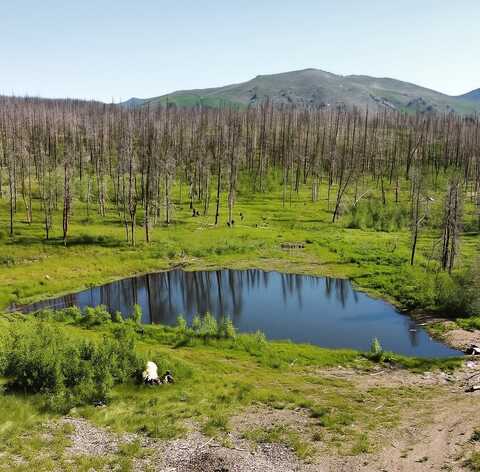 2493 Greer Rd., Bellvue, CO 80512