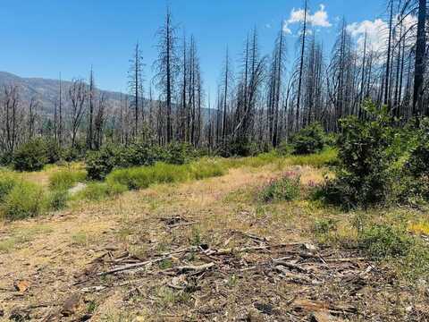 172 Standart Mine Road, Greenville, CA 95947