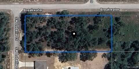 1804 SW Lobelia Court, Dunnellon, FL 34431