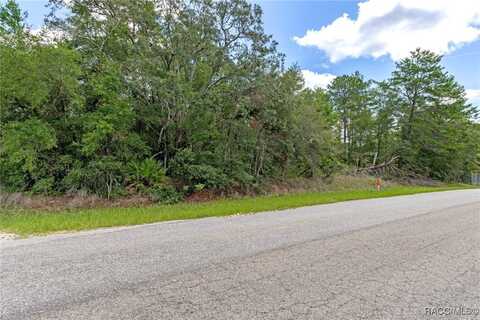 710 E Overdrive Circle, Hernando, FL 34442