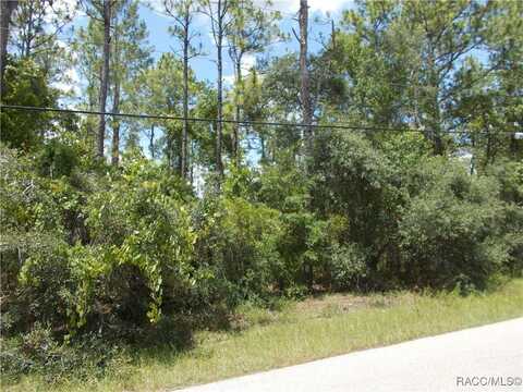 1725 W UNION Street, Hernando, FL 34442