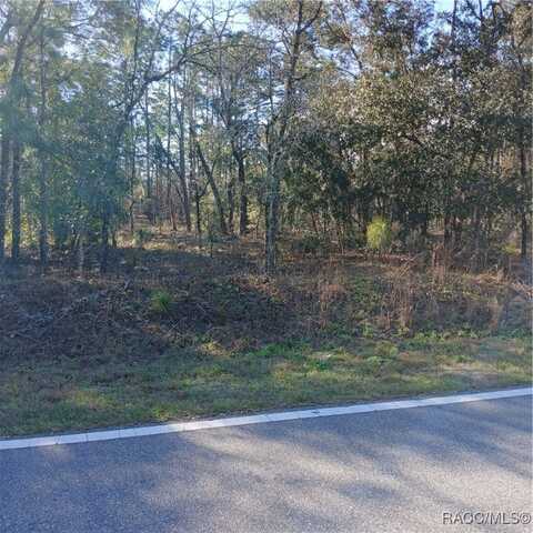 NW Ridgewood Road, Dunnellon, FL 34431