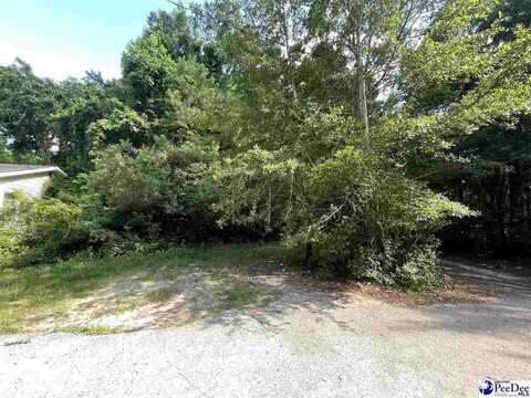 102 2nd Ave, Bennettsville, SC 29512