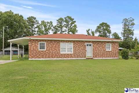 1848 Mirage Lake rd, Latta, SC 29565