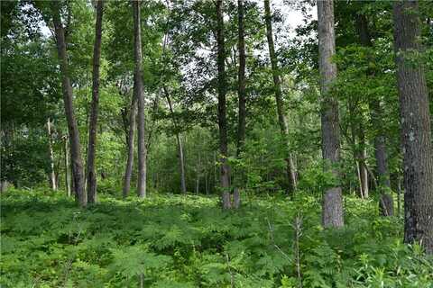 8887 Fosberg Road, Siren, WI 54872