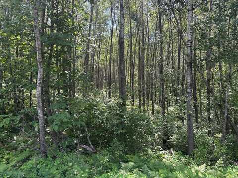 Lot 1 W Nelson Lake Road, Hayward, WI 54843