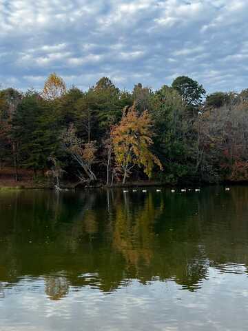 Lot 45 Pin Hook Road, Spring City, TN 37381