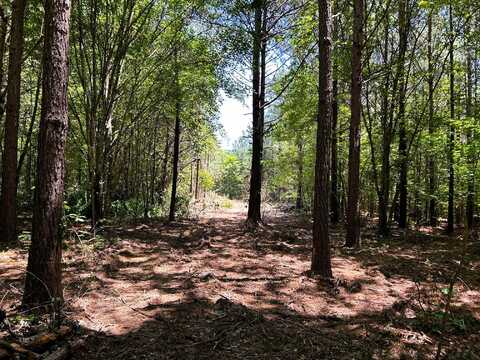 Lot 2 Highway 304, Ten Mile, TN 37880