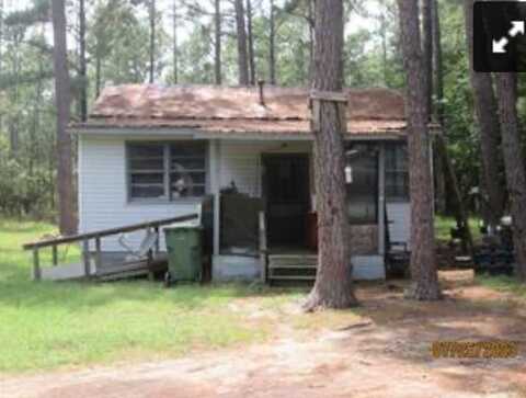 132 Winge Rd, Lyons, GA 30436
