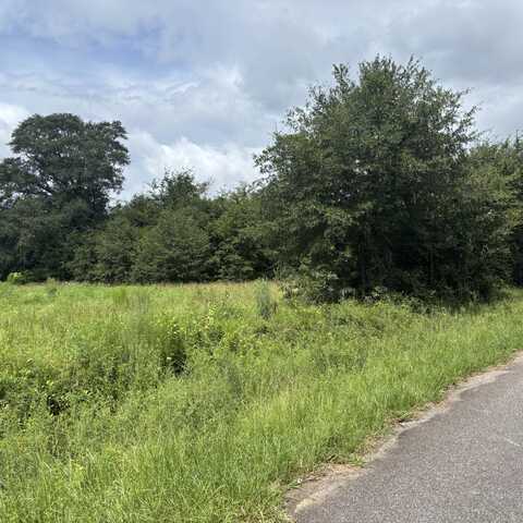 Tbd Union Academy Road, Salley, SC 29137