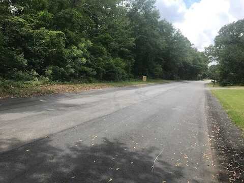 Lot 14 Fairway Lane, Barnwell, SC 29812