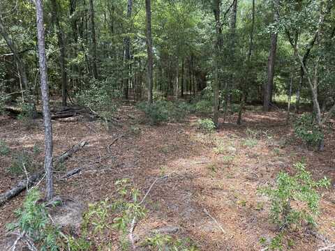 Qaf 3 Rainbow Drive, Wagener, SC 29164