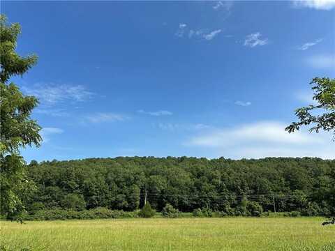000 Denton Ferry RD, Cotter, AR 72626