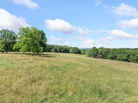 Payne RD, Harrison, AR 72601