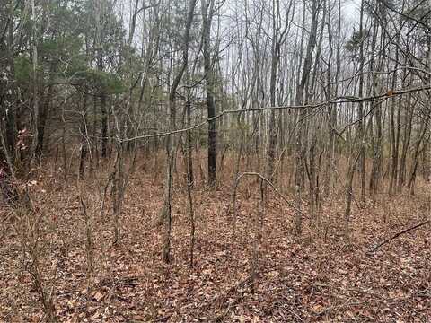 Lot 17 - Block 1 Oniell CIR, Bella Vista, AR 72715