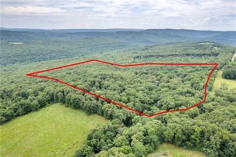 47 Acres Lucky RD, Winslow, AR 72959