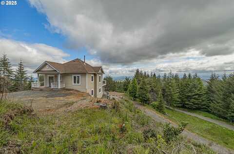 46345 DEMENT CREEK RD, Myrtle Point, OR 97458