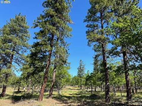 D PINE RD, Goldendale, WA 98620