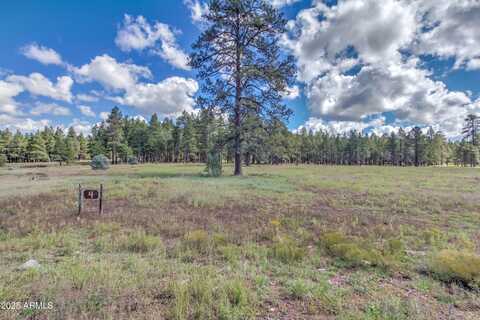 307 E FOXBORO Road, Munds Park, AZ 86017