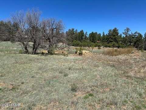1301 S Lakeside Trail, Show Low, AZ 85901