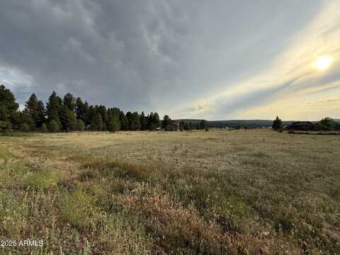 213 HIGH POINT Drive, Mormon Lake, AZ 86038