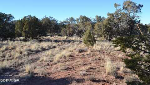 5450 County Line Road, Snowflake, AZ 85937