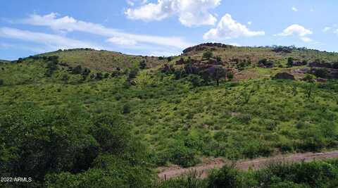 Lot 41 N Hidden Oaks Trail 39 acres --, Douglas, AZ 85607