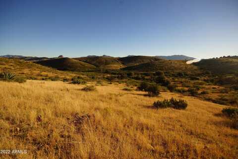 Lot 44 N Hidden Oaks Trail 38.7 acres --, Douglas, AZ 85607