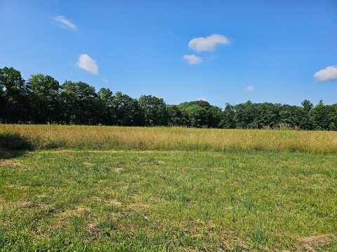 Wagner Rd, Tionesta, PA 16353