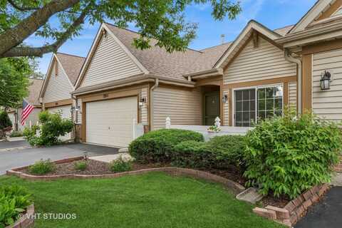 21144 W. Buckeye Court, Plainfield, IL 60544
