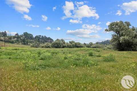 Lot C Alkali Creek Road, Billings, MT 59105