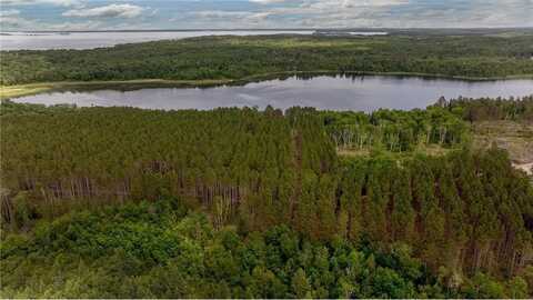 Tbd FS 2666, Walker, MN 56484