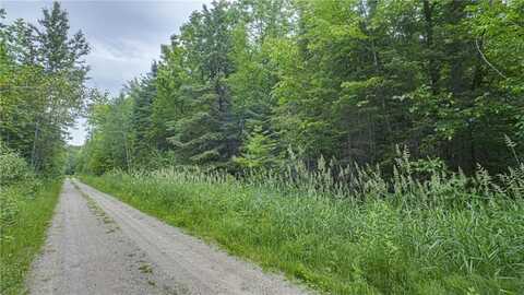 Tbd Mallum Drive, Trout Lake Twp, MN 55709