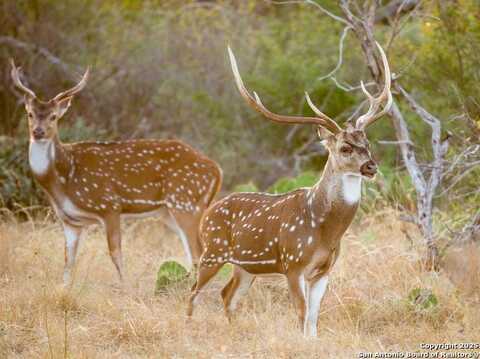 Lot 29 Vaquero Pass, Boerne, TX 78006