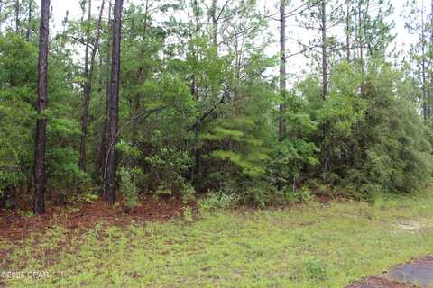 Tbd Deborah Avenue, Chipley, FL 32428